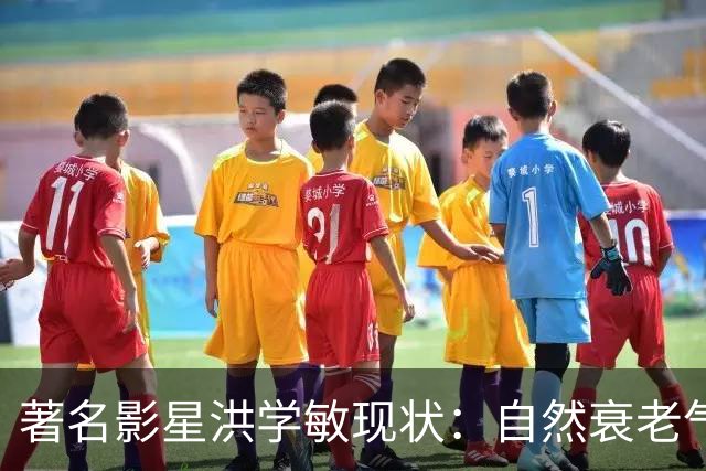 著名影星洪学敏现状：自然衰老气质佳，67岁仍未婚未育，定居香港