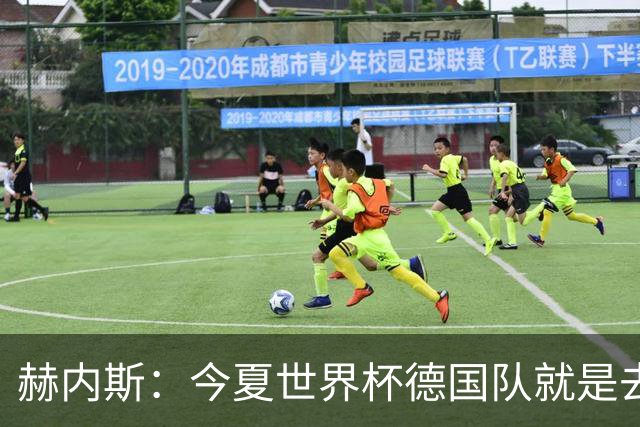 赫内斯：今夏世界杯德国队就是去郊游的，希望克洛普重建纪律